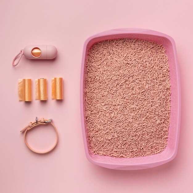 Как выбрать наполнители в зависимости от потребностей вашей кошки