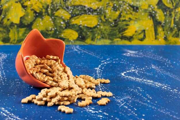 Лучшие зерновые смеси для попугаев: рейтинг и советы