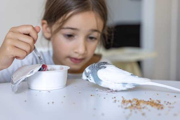 Натуральные корма: польза и риски для здоровья птицы