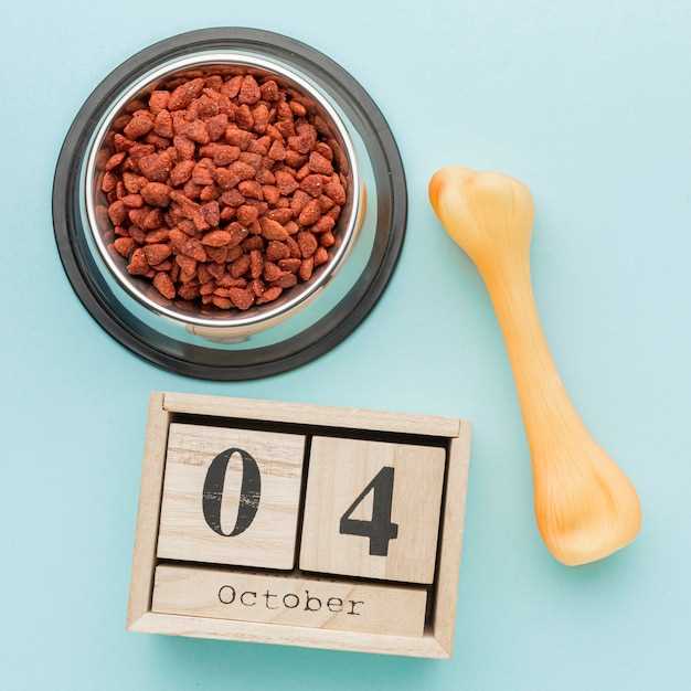 Как выбрать влажный корм для такс