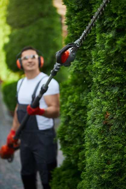 Сравнение бензиновых цепных пил Stihl по уровню надежности