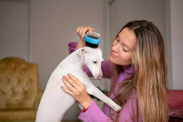 Шампуни и спреи: что учитывать при покупке