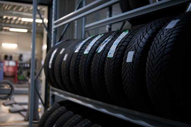 Как выбрать летние шины 205/60 R16 для безопасной езды