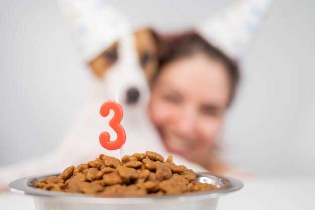 Как выбрать сбалансированный рацион для лабрадора?