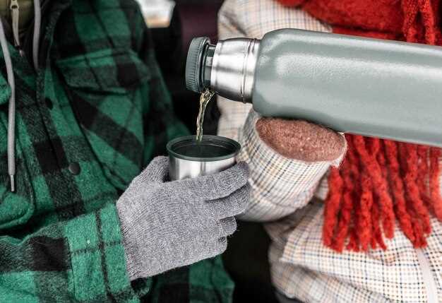 Топ-10 моделей термокружек с подогревом: сравнительные характеристики