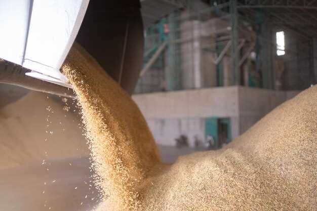 Обзор популярных моделей зернодробилок для частного использования