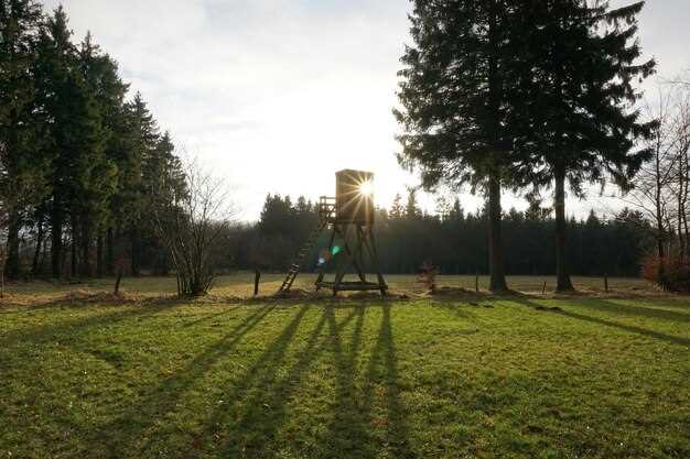 Топ-10 моделей зрительных труб с учетом бюджета и характеристик