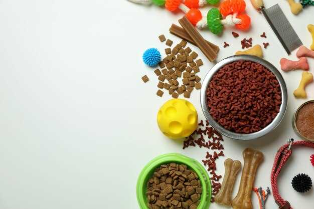 Корм для кошек с высоким содержанием омега-3 и омега-6