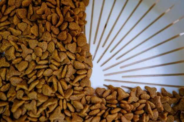 Проблемы со здоровьем, связанные с неправильным питанием мейн-кунов