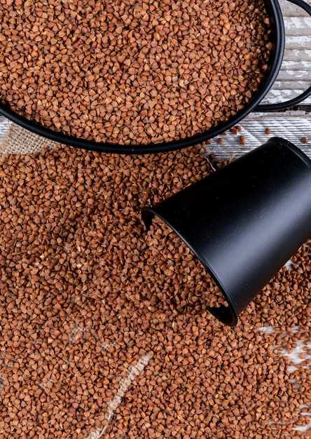 Топ-11 кормов: анализ состава и отзывов владельцев