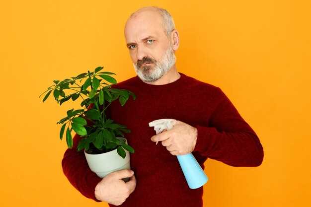 Химические препараты: как выбрать и применять