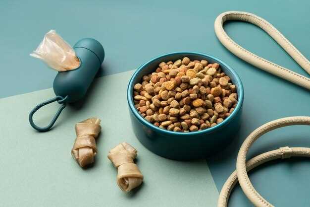 Рейтинг холистик-кормов с учетом отзывов владельцев и ветеринаров