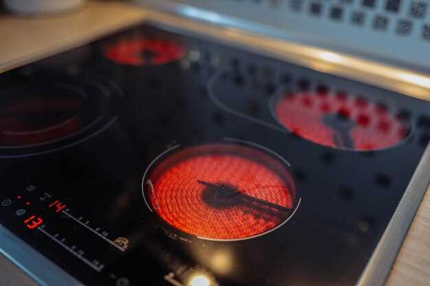 Обзор популярных моделей индукционных плит с духовым шкафом