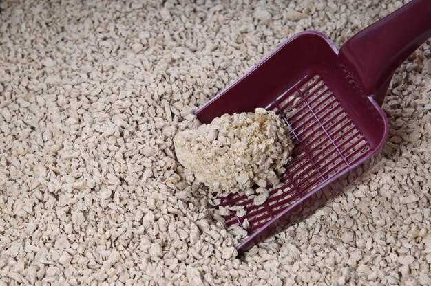 Как выбрать лучший древесный наполнитель для вашей кошки