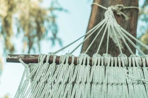 Критерии выбора двухместного гамка с каркасом