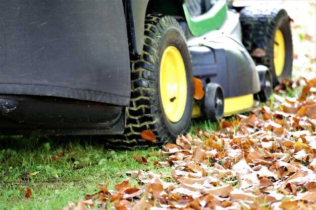 Топ-12 моделей с функцией регулировки высоты скошенной травы