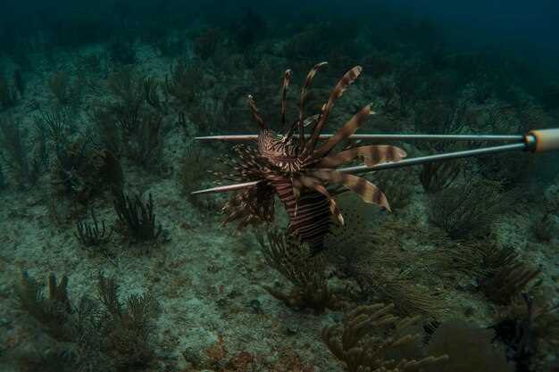 Оптимизация поиска: советы по настройке и использованию