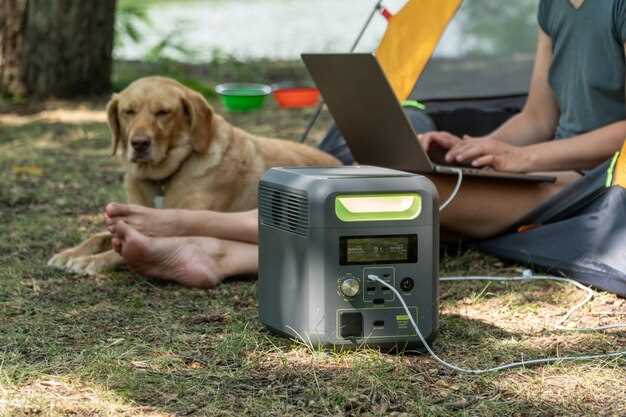 Советы по установке и эксплуатации ИБП для максимальной надежности