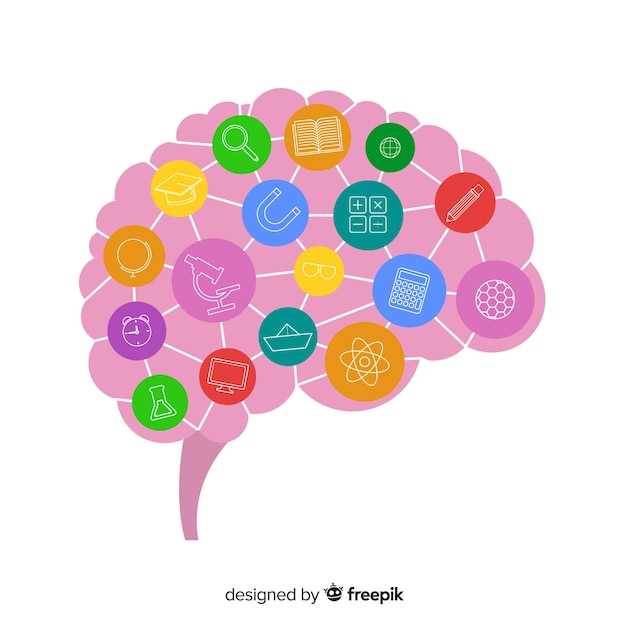 Сайенс-бэкенд: как ноотропы влияют на мозг?