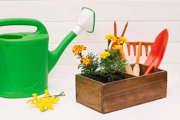 Как выбрать садовый шланг Gardena для вашего участка