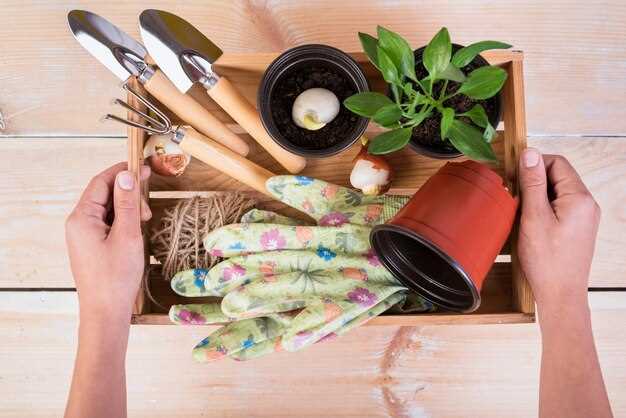 Лучшие системы капельного полива от Gardena для овощей и цветов