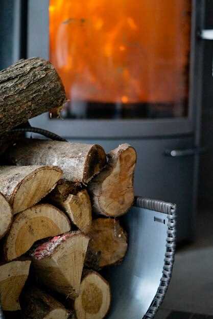 Топ 12 твердотопливных котлов с наилучшей теплоотдачей