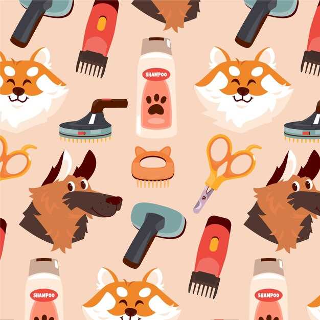 Обзор характеристик и возможностей каждой модели