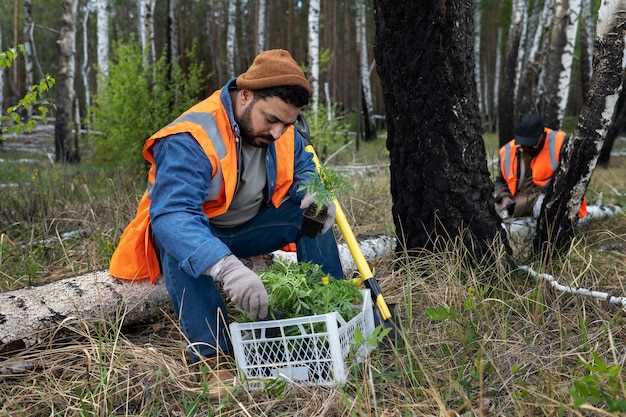 Профилактика появления медведки: агротехнические методы