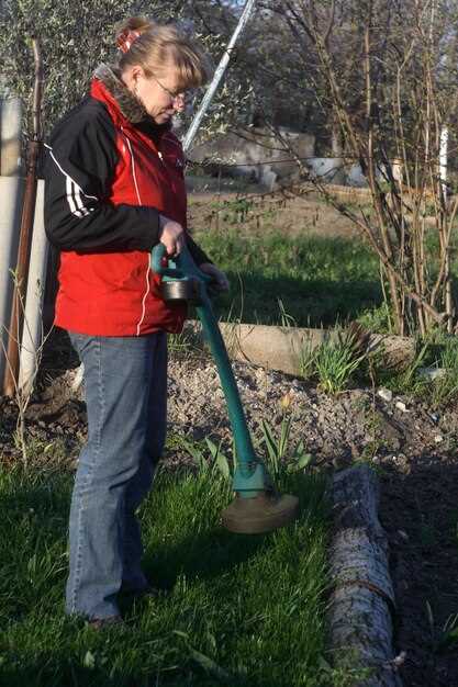 Сравнение бензиновых и электрических триммеров Huter: что выбрать?