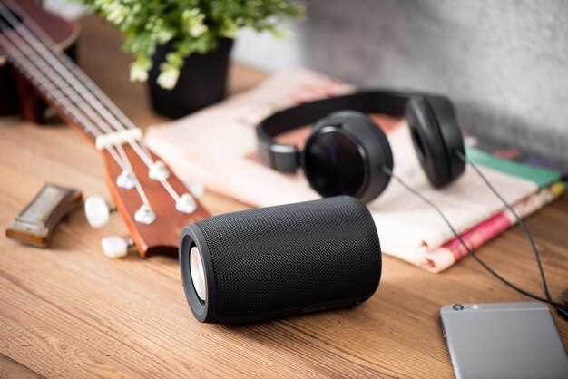 Как выбрать портативную колонку с глубоким басом для активного отдыха