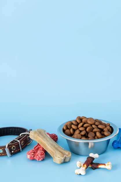 Критерии выбора корма для овчарок