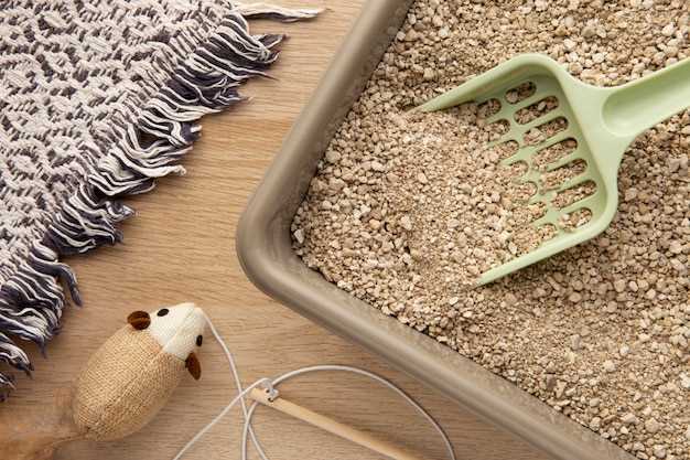 Материалы для укладки: что выбрать для комфорта крысы