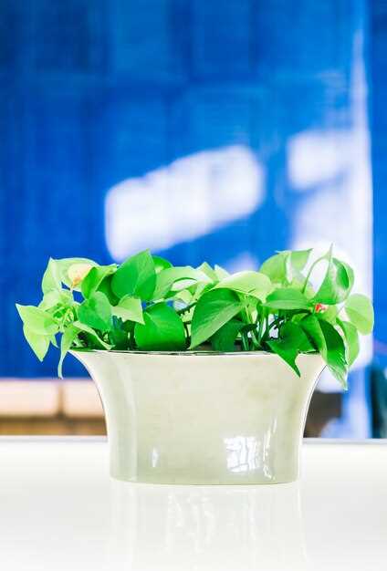 Топ-5 светильников для небольших аквариумов