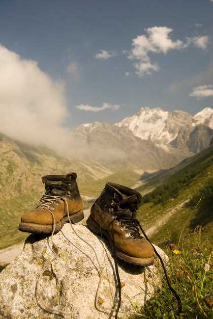 1. Salomon X Ultra 4 GTX