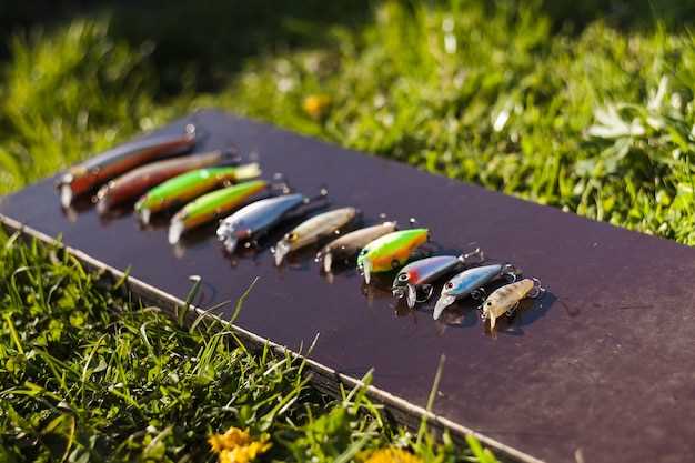 Топ-15 моделей: сравнение и рекомендации по выбору