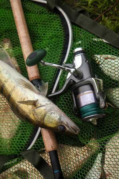 Топ-5 производителей морских приманок для ловли на экзотических водоемах