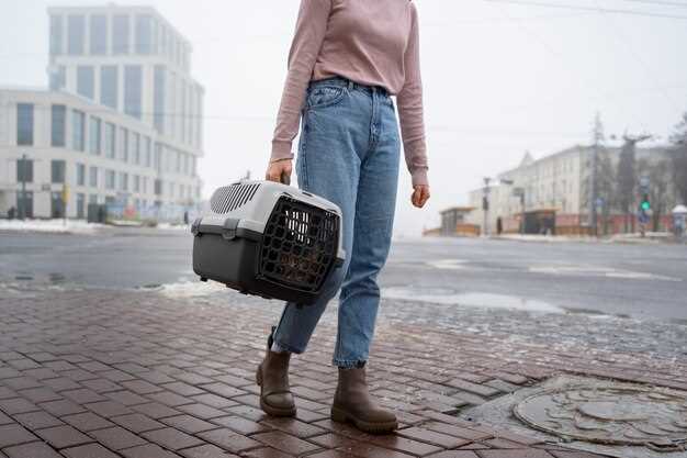 Как обслуживать контейнерный пылесос для долговечности