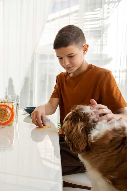 Рекомендации по применению и дозировке заменителей