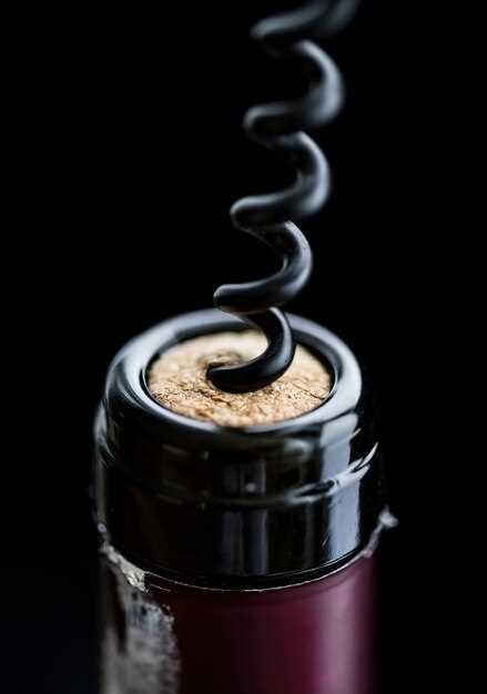 Как выбрать электрический штопор для дома?