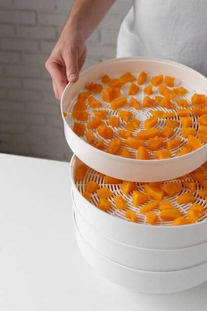 Как выбрать сушилку в зависимости от объема и типа продуктов