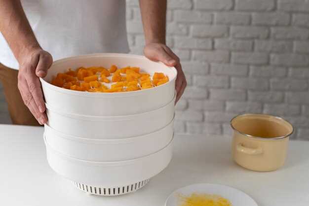 Сравнение характеристик популярных моделей сушилок