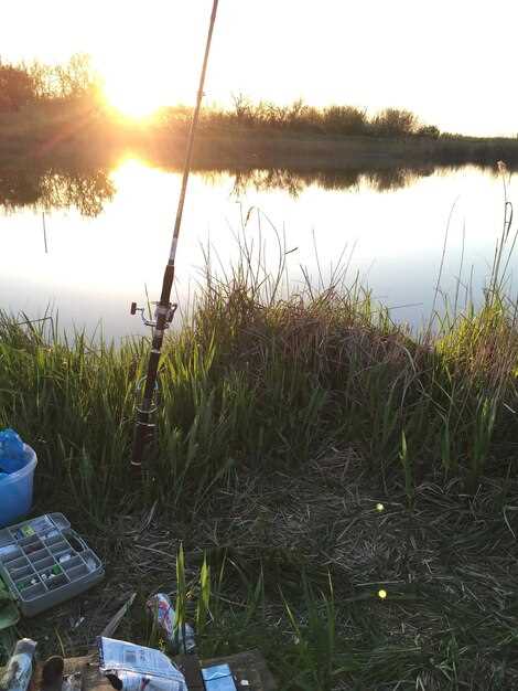 Топ функций эхолотов для берегового использования