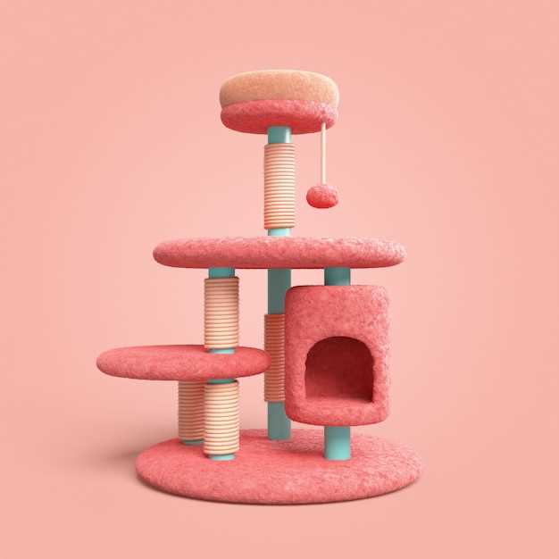 Советы по размещению игрового комплекса в доме