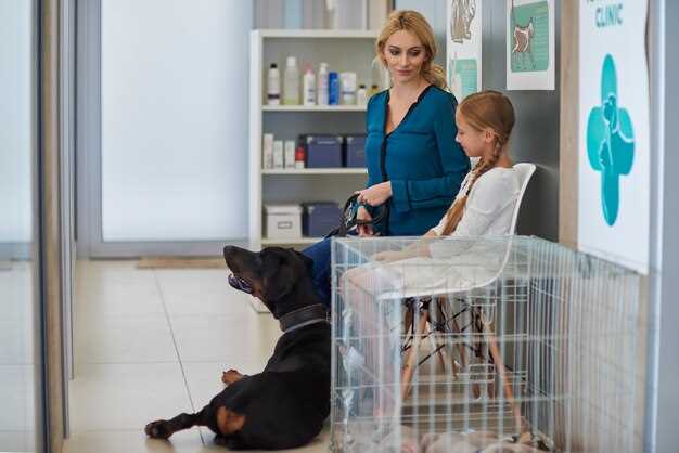 Где найти ветеринарные клиники с круглосуточным обслуживанием?