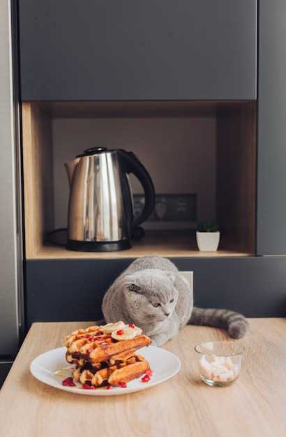 Сравнение цен и характеристик на популярные модели