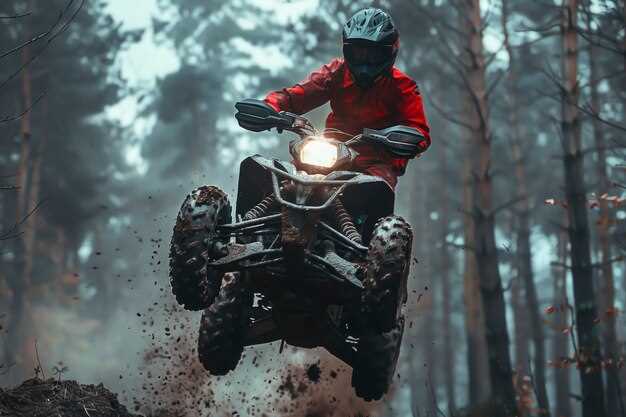 Отзывы владельцев: плюсы и минусы квадроциклов до 300000 рублей