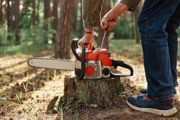 Как выбрать бензопилу Husqvarna для домашних нужд и мелких задач