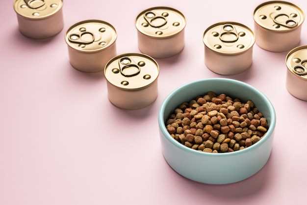 Как выбрать корм, подходящий для той-терьера