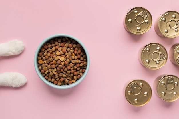 Обзор 8 популярных кормов для той-терьеров