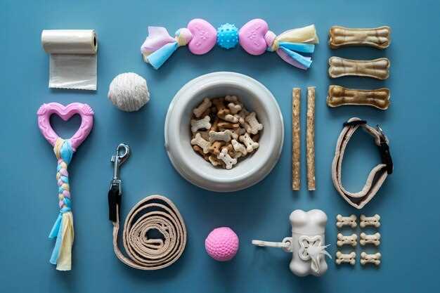 Как выбрать когтеточку для маленькой кошки